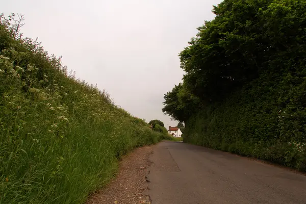 Corsia alberata inglese che attraversa la campagna — Foto Stock