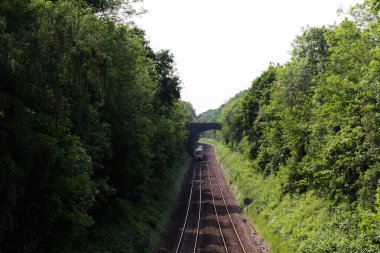 Her tarafta ağaçları ile demiryolu hattı üzerinden görüntülemek