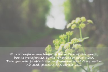 Bulanık bir arka plan üzerinde İncil'den ilham ayet