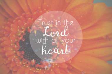 Bulanık bir arka plan üzerinde İncil'den ilham ayet