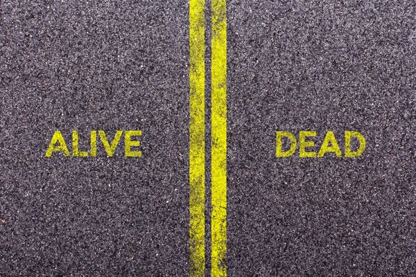 Tarmac with the words alive and dead — Stock Photo, Image