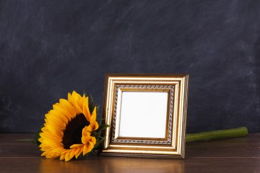 Resim çerçevesi ve ayçiçeği kirli blackboard adam karşı
