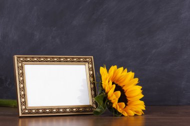 Resim çerçevesi ve ayçiçeği kirli blackboard adam karşı