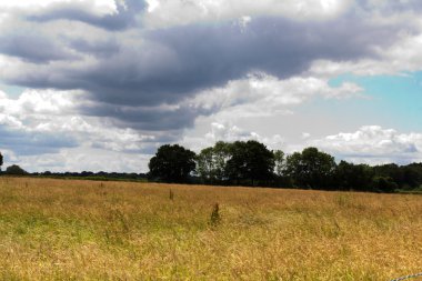 İngilizce kırsal etrafında İngiltere'de Chilterns