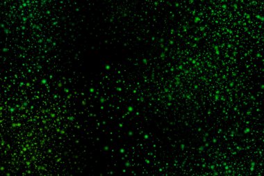 Siyah bir arka plan üzerinde renkli soyut toz patlama