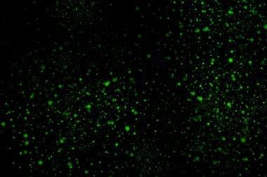 Siyah bir arka plan üzerinde renkli soyut toz patlama