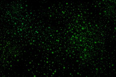 Siyah bir arka plan üzerinde renkli soyut toz patlama