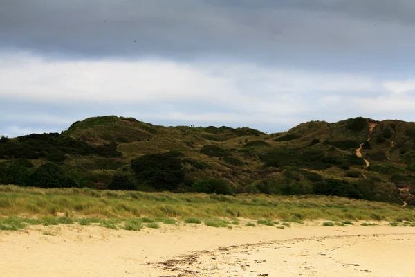 Вид на побережье со скалы возле Падстоу — стоковое фото