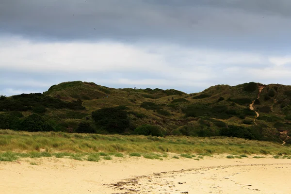 Vista a lo largo de la costa desde Rock cerca de Padstow — Foto de Stock