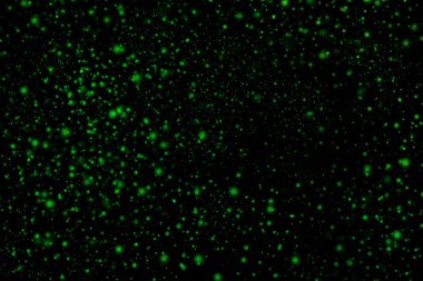 Siyah bir arka plan üzerinde renkli soyut toz patlama