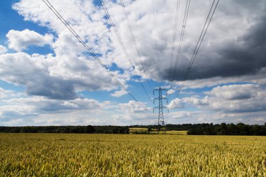 İngilizce kırsal genelinde gidiş elektrik direkleri