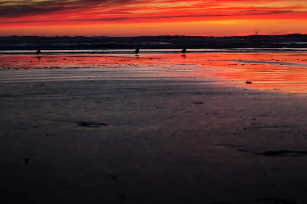Colorido atardecer sobre la playa en Polzeath — Foto de Stock