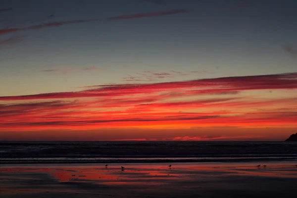 Colorido atardecer sobre la playa en Polzeath — Foto de Stock