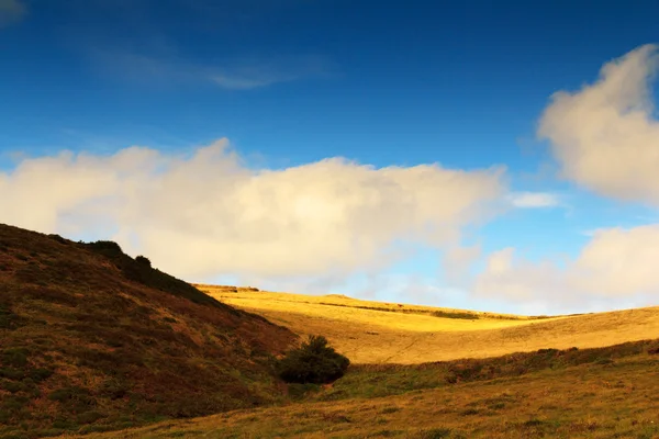 Vista del campo desde la ruta costera cerca de Polzeath — Foto de Stock