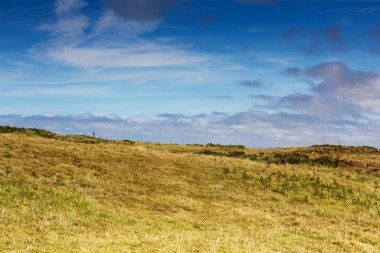 Polzeath yakınındaki kostal yoldan görüntülemek
