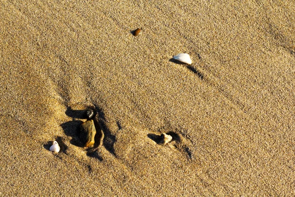 Pebbles and stones washed up in sand