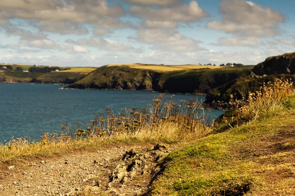 Vue depuis le sentier côtier près de Polzeath . — Photo