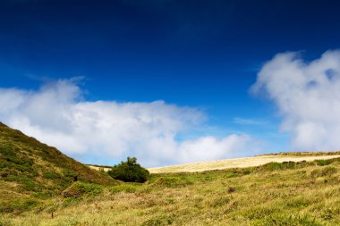 Polzeath yakınındaki kostal yolu kırsal görünümü