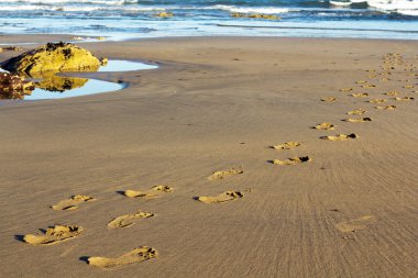 Kumdaki Polzeath sahilde