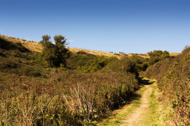 Polzeath yakınındaki kostal yoldan görüntülemek.