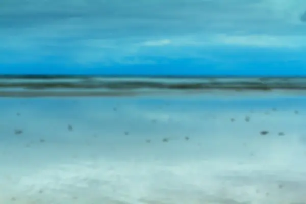 纳什的焦点在海滩的清晨视图. — 图库照片