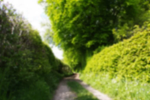 Ülke yolu ile odak dışı iki tarafında çitleri. — Stok fotoğraf