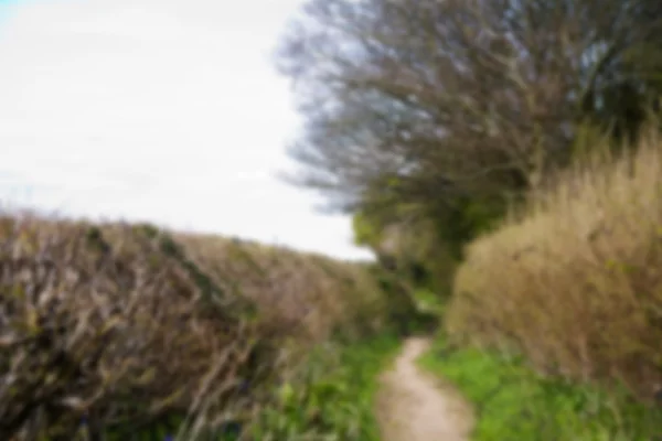 Blick auf einen Pfad in den Kinderzimmern, England aus dem Fokus. — Stockfoto