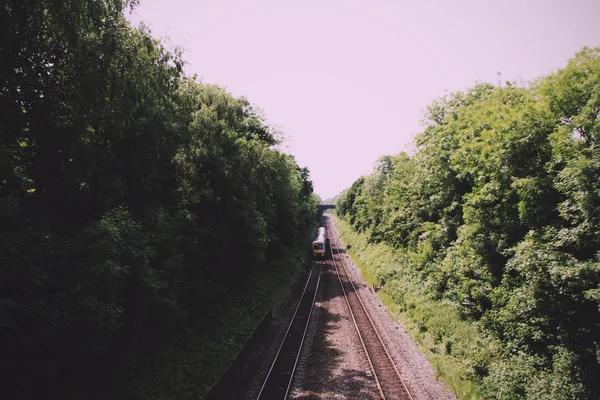 ヴィンテージ レトロな両側に木がある鉄道の線路の上を表示します。 — ストック写真