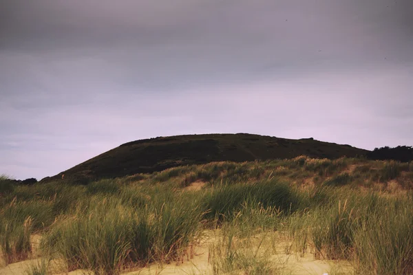 Vista a lo largo de la costa desde Rock cerca de Padstow Vintage Retro Filter — Foto de Stock