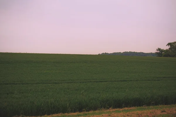 Переглянути на англійській сільській місцевості в Chilterns Vintage ретро — стокове фото