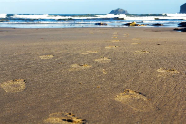 波尔泽思海滩沙滩上的脚印 — 图库照片