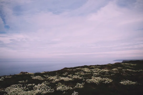 Vue depuis le sentier côtier entre Widemouth Bay et Bude Vintag — Photo