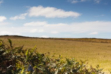 Polzeath yakınındaki kostal yolundan görüntüleyin. Odak dışında.