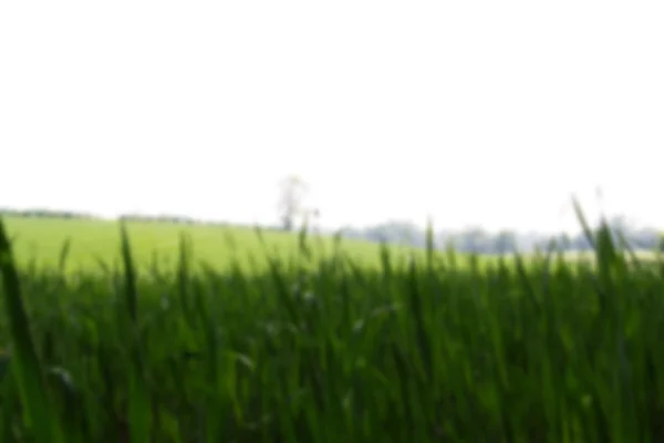 View over the Chilterns landscape in Buckinghamshire, England Ou — Stock Photo, Image