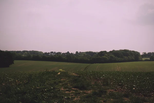 Vista sobre el paisaje Chilterns en Buckinghamshire, Inglaterra Vi —  Fotos de Stock