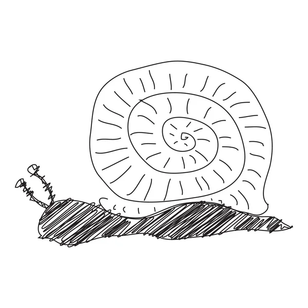 Schizzo Doodle di un sanil su sfondo bianco — Vettoriale Stock