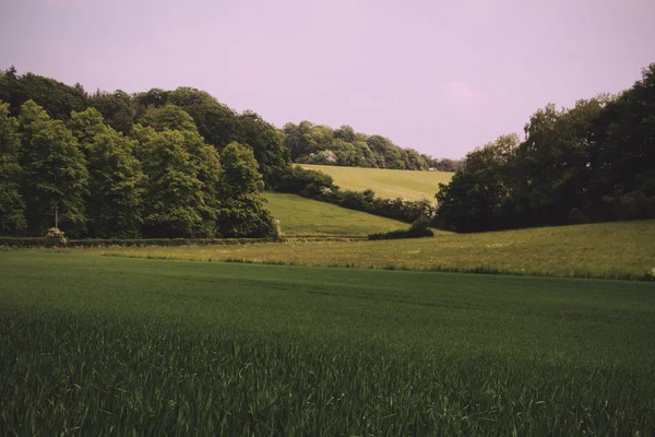 Vista sobre el paisaje Chilterns en Buckinghamshire, Inglaterra Vi —  Fotos de Stock