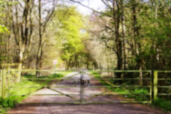 Holztor über Straße durch Wald außer Sichtweite. — Stockfoto