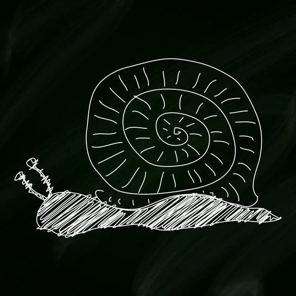 Dibujo de un caracol sobre un fondo de pizarra — Vector de stock