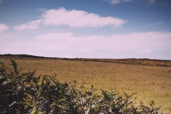 Vista desde la ruta costera cerca de Polzeath. Filtro retro Vintage . — Foto de Stock