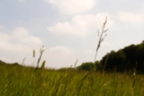 Vista sobre a paisagem Chilterns em Buckinghamshire, Inglaterra Ou — Fotografia de Stock