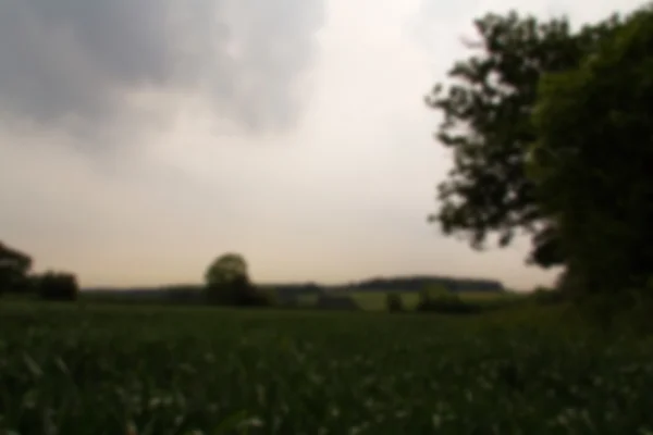 Vy över den engelska landsbygden i Chilterns av fokus. — Stockfoto