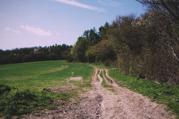 Vista a lo largo de un camino en los Chilterns, Inglaterra Vintage Retro Filter — Foto de Stock