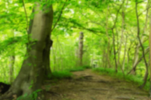 View through English woodland in the summer Out of focus. — Stock Photo, Image