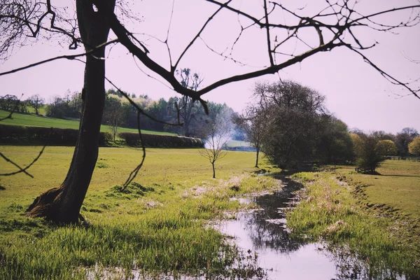 Strumień przepływający przez pole w Chilterns Vintage Retro Fi — Zdjęcie stockowe