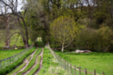 Kırsal yol yokuş aşağı ağaçlar yak²n geçmekte.