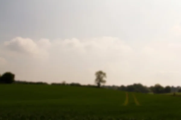 Chilterns manzara Buckinghamshire, İngiltere'de kuruluş biriminde üzerinde göster — Stok fotoğraf