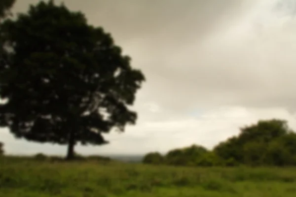 Boom uitzicht uitzicht over het landschap van Chiltern, Buckinghamshire Out — Stockfoto