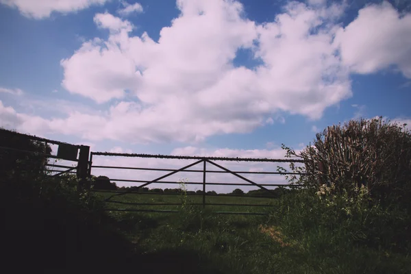 Oude metalen poort in een hedge met blauwe lucht Vintage Retro Filter. — Stockfoto