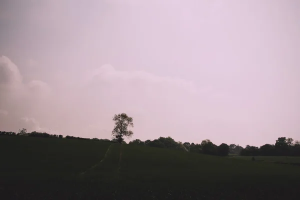 Chilterns manzara Buckinghamshire, İngiltere'de VI üzerinde göster — Stok fotoğraf